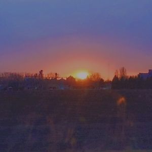 Meet your Posher, Scarlett